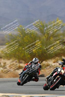 media/Apr-10-2022-SoCal Trackdays (Sun) [[f104b12566]]/Turn 5 Tree of Life (1040am)/